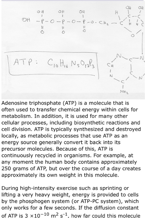 OH O سے OH -P-O-P-O-P-O-CH - s ATP: Ci His NsO, 2/3 NH Adenosine triphosphate (ATP) is a molecule that is often used to trans