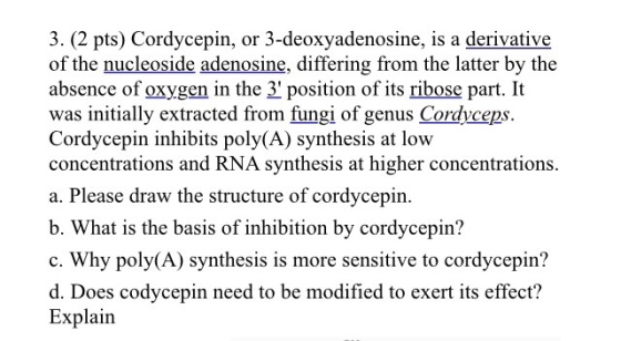 Cordycepin, or 3-deoxyadenosine, is a derivative o