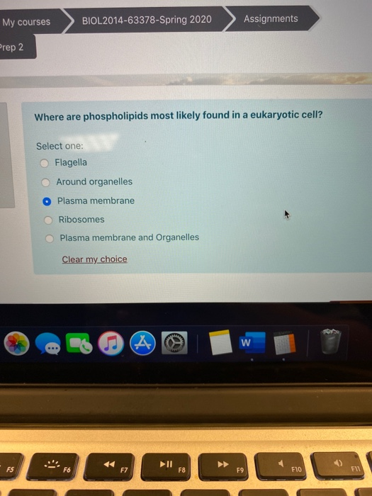 My courses BIOL 2014-63378-Spring 2020 Assignments Prep 2 Where are phospholipids most likely found in a eukaryotic cell? Sel
