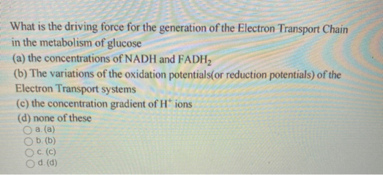 What is the driving force for the generation of the Electron Transport Chain in the metabolism of glucose (a) the concentrati