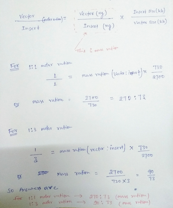 Assume A Size Of 2700 Bp For The PUC19 Vector And A Size Of 730 Bp 