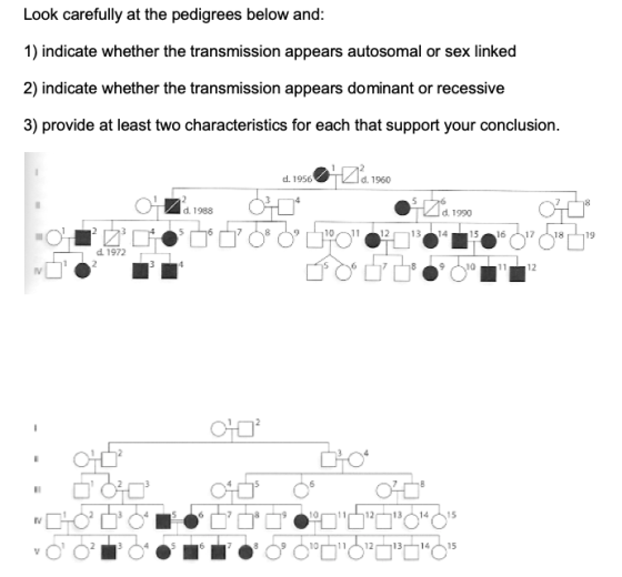 Look carefully at the pedigrees below and: 1) indicate whether the transmission appears autosomal or sex linked 2) indicate w