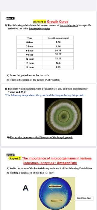GROUP (Report 1 Growth Curve 1) The following table shows the measurements of bacterial growth in a specific period by the co