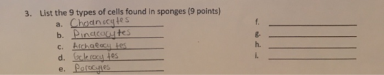 3. List the 9 types of cells found in sponges (9 points) a. Chodnocytes b. Pinacotes c. Archaeocy tes d. Sclerocates e. Poroc