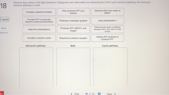 18 Electron flow varies in the light reactions. Categorize each description as characteristic of the cyclic electron pathway,