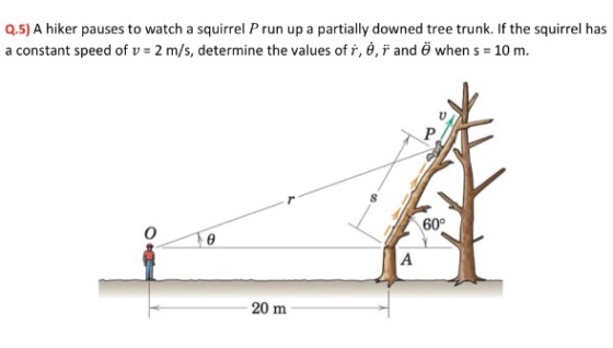 Q.5) A hiker pauses to watch a squirrel P run up a partially downed tree trunk. If the squirrel has a constant speed of v = 2 m/s, determine the values of r, θ, r and θ when s = 10 m. 60° 20 m