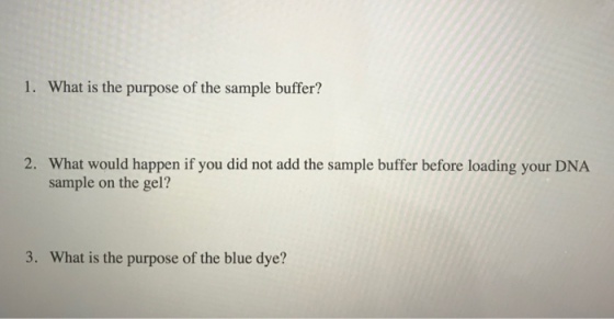 1. What is the purpose of the sample buffer? 2. What would happen if you did not add the sample buffer before loading your DNA sample on the gel? 3. What is the purpose of the blue dye?