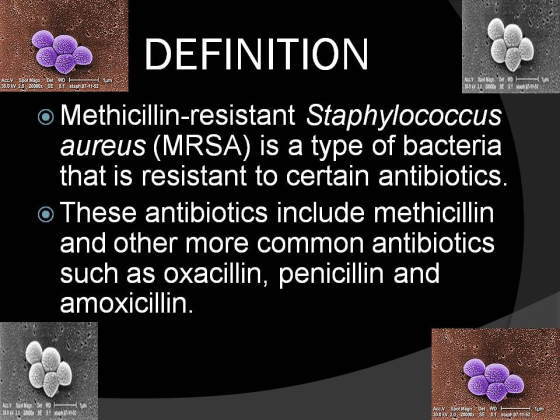 DEFINITION Acc Spot Mago 30,0xV 2.0 20000 SE81 staph 9712 1um WD o Methicillin-resistant Staphylococcus aureus (MRSA) is a type of bacteria that is resistant to certain antibiotics These antibiotics include methicillin and other more common antibiotics such as oxacillin, penicillin and amoxicillin Accy Spot Mago 30,0V 2.0 20000 SE813staph 97-1152 WD
