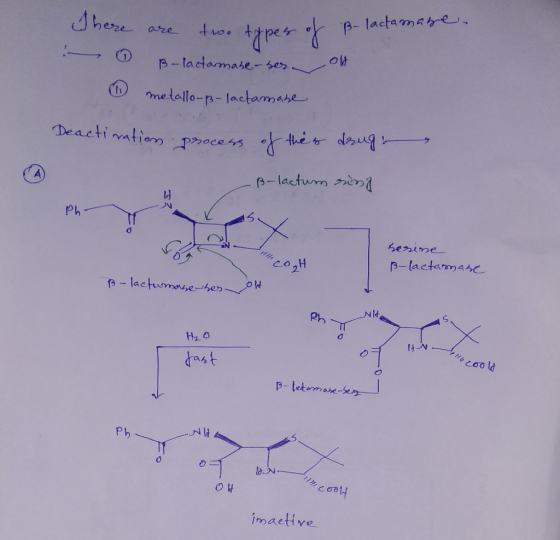 Jhes B-lactamase-se melollo-pa-lactamahe Deactinatiom otteケdau.qu ー→ ee as Ph conH p-lactarmase Ph ras t Pb 8 imactive