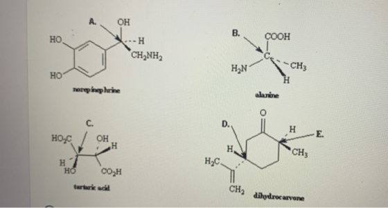 OH vo: COOH H CH NH2 --CH₃ HN norepinephrine alarine Нос H HC CH3 H носон tartaric add CH2 daydrocarvone