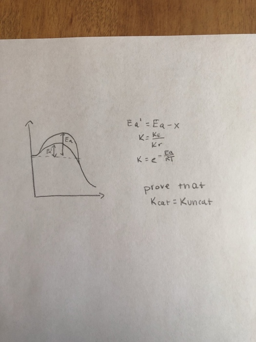 Kr prove that Kcat Kuncat
