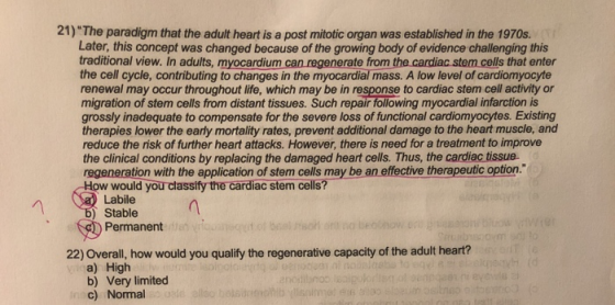 21) The paradigm that the adult heart is a post mitotic organ was established in the 1970s. Later, this concept was changed