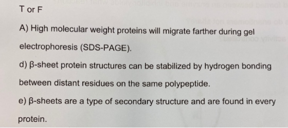 Tor F. A) High molecular weight proteins will migrate farther during gel electrophoresis (SDS-PAGE). d) B-sheet protein struc