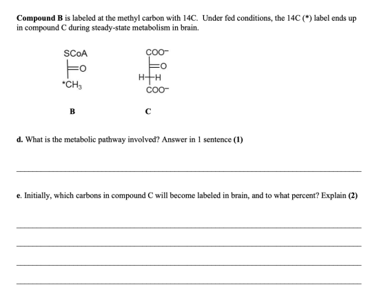 Compound B is labeled at the methyl carbon with 14C. Under fed conditions, the 14C (*) label ends up in compound C during ste
