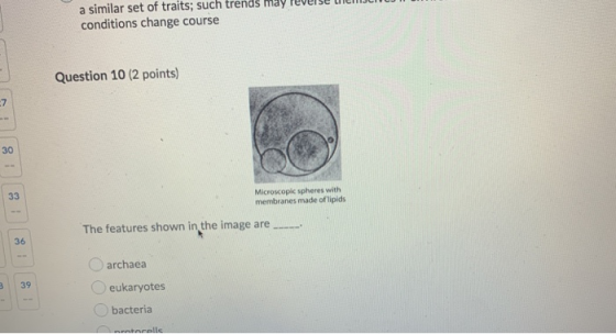 a similar set of traits; such trends may reverse lielITUU conditions change course Question 10 (2 points) Microscopic spheres