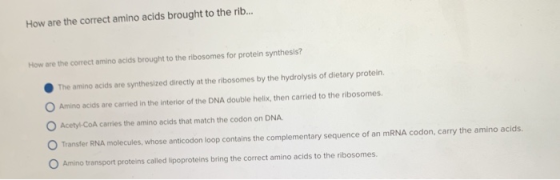 How are the correct amino acids brought to the rib... How are the corect amino acids brought to the ribosomes for protein syn