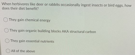 When herbivores like deer or rabbits occasionally ingest insects or bird eggs, how does their diet benefit? They gain chemica