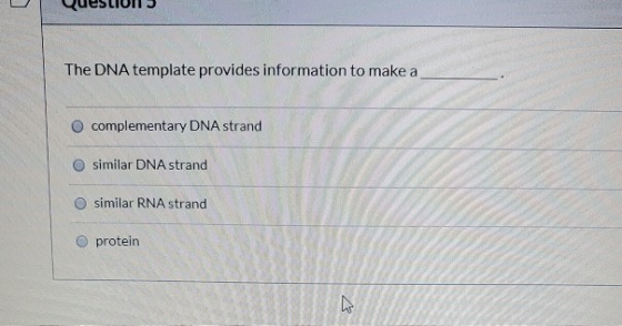 QuesLIVIT The DNA template provides information to make a complementary DNA strand similar DNA strand similar RNA strand prot