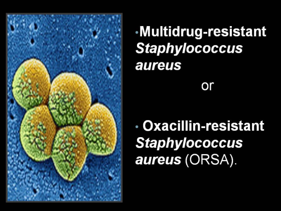 Multidrug-resistant Staphylococcus aureus or . Oxacillin-resistant Staphylococcus aureus (ORSA)