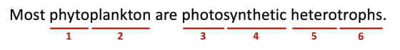 Most phytoplankton are photosynthetic heterotrophs. 1 2 3 4 5 6