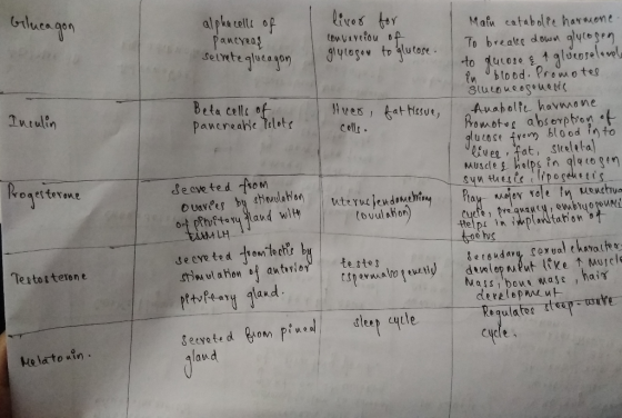 Glucagon liver for alphacells of pancreas seinete glucagon conversion of glycogen to glucose. Inculin Beta cells of pancreati