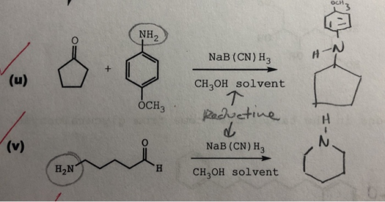 NH2 NaB (CN) Hz CH,OH solvent OCH3 Reductive I-2 NaB (CN) HZ H2N CH,OH solvent