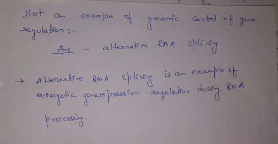 Not an examble Ars aller, nati.ve R@l A splǐ ce _ roces