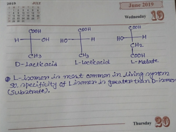 2019 S M T 1 2 7 8 9 14 15 16 21 22 23 28 29 30 JULY W T F S 3 4 5 6 10 11 12 13 17 18 19 20 24 25 26 27 31 June 2019 Wednesd