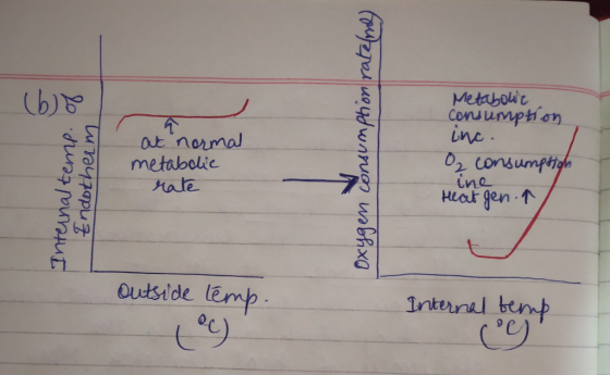 Metabouc Cons umph しne 个 ot normal metabolic rale ne Hear gen .个 Oudside lemp Intenal benmp