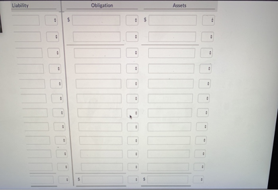 Liability Obligation Assets