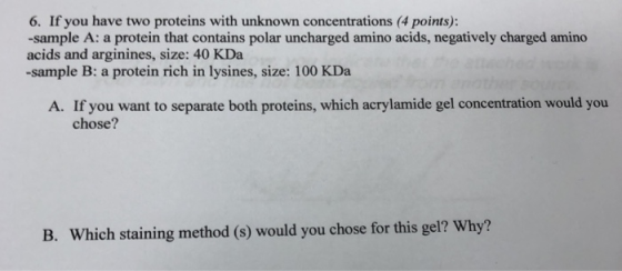 6. If you have two proteins with unknown concentrations (4 points): -sample A: a protein that contains polar uncharged amino