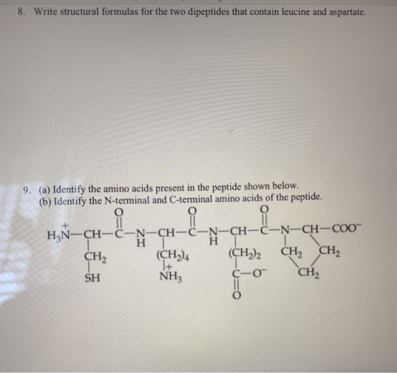 8. Write structural formulas for the two dipeptides that contain leucine and aspartate. 9. (a) Identify the amino acids prese