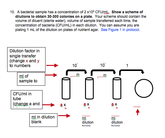 A bacterial sample has a concentration of 2 x106 CFUlml. Show a scheme of dilutions to obtain 30-300 colonies on a plate. Your scheme should contain the volume of diluent (sterile water), volume of sample transferred each time, the concentration of bacteria (CFU/mL) in each dilution. You can assume you are plating 1 mL of the dilution on plates of nutrient agar. See Figure 1 in protocol 10. Dilution factor in single transfer (change x and y to numbers 10 10 ml of sample to CFU/ml in tube (change a and ml in dilution ! blank ml dilution ml dilution