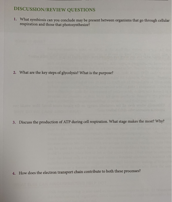 DISCUSSION/REVIEW QUESTIONS 1. What symbiosis can you conclude may be present between organisms that go through cellular resp