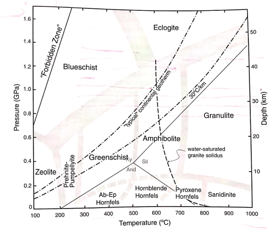 1.6 Eclogite 1.4 Forbidden Zone Blueschist Pressure (GPa) **typical continental géotherm .-.-.4.3/0€ _.. Depth (km) Granu