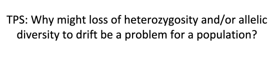 TPS: Why might loss of heterozygosity and/or allelic diversity to drift be a problem for a population?