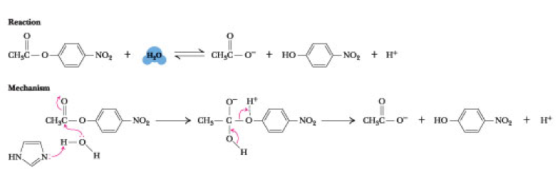 Reaction o CHsC-0 No, CHsC_0 + HO No, + It Mechanism o-He o aLC_0 NO2--> CHS-C-0 No,---> CHgC-or + Ho No, +H+ H-O H HN, ,N- O=C