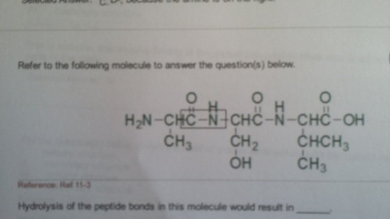 Refer to the following molecule to answer the ques