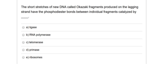 The short stretches of new DNA called Okazaki fragments produced on the lagging strand have the phosphodiester bonds between