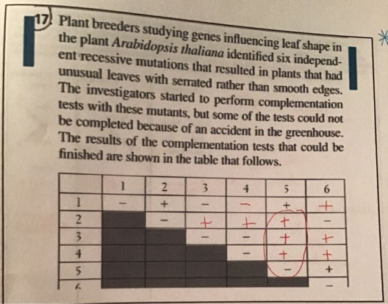 Plant breeders studying genes influencing leaf shape in the plant Arabidopsis thaliana identified six independ- ent recessive