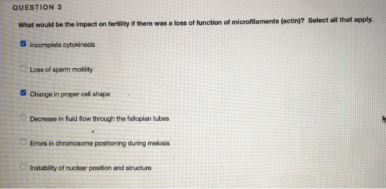 QUESTION 3 What would be the impact on fertility it there was a loss of function of microfilaments (actin)? Select all that apply Incomplete cytokinesis Loss of sperm motility Change in proper cell shape Decrease in fluid flow through the fallopian tubes Errors in chromosome positioning during meiosis O1 Instability of nuclear position and structure