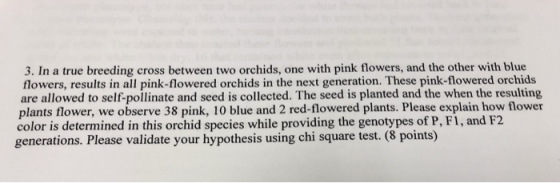 3. In a true breeding cross between two orchids, one with pink flowers, and the other with blue flowers, results in all pink-