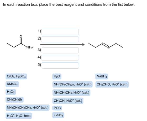 In each reaction box, place the best reagent and conditions from the list below NH H2O NaBH4 CrO3, H2SO4 KMno4 NH(CH2CH3)2, H30 (cat.) CH3CHO, H30 (cat.) H202 NH2CH2CH3, H30+ (cat.) CH3CH2Br CH3OH, H30 (cat.) NH2CH2CH2CH3T H30 (cat.) PCC LiAIH H3O+, O, heat