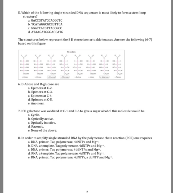 5. Which of the following single-stranded DNA sequences is most likely to form a stem-loop structure? a. GACCGTATGCACGGTC b.