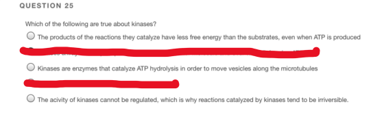 QUESTION 25 Which of the following are true about kinases? The products of the reactions they catalyze have less free energy