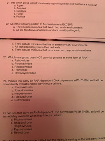21. Into which group would you classiya photosyntheti cel that lacks and a Alge Archana c. Eukarya d Fungi e. Protista 22. Al