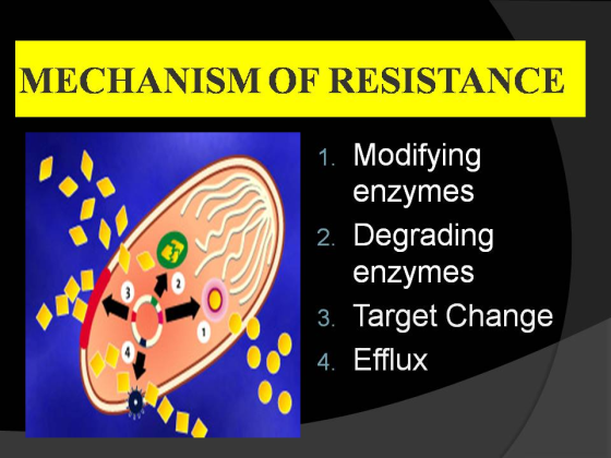 MECHANISM OF RESISTANCE 1. Modifying enzymes 2. Degrading enzymes 3. Target Change 04. Efflux