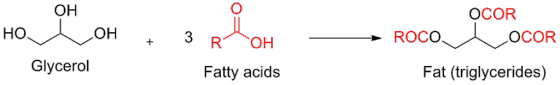он OCOR RococoR OCOR Glycerol Fatty acids Fat (triglycerides)
