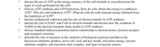 discuss the use of ATP as the energy currency of the cell (include in your discussion the types of work performed by the cell