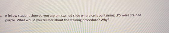 1. A fellow student showed you a gram stained slide where cells containing LPS were stained purple. What would you tell her a
